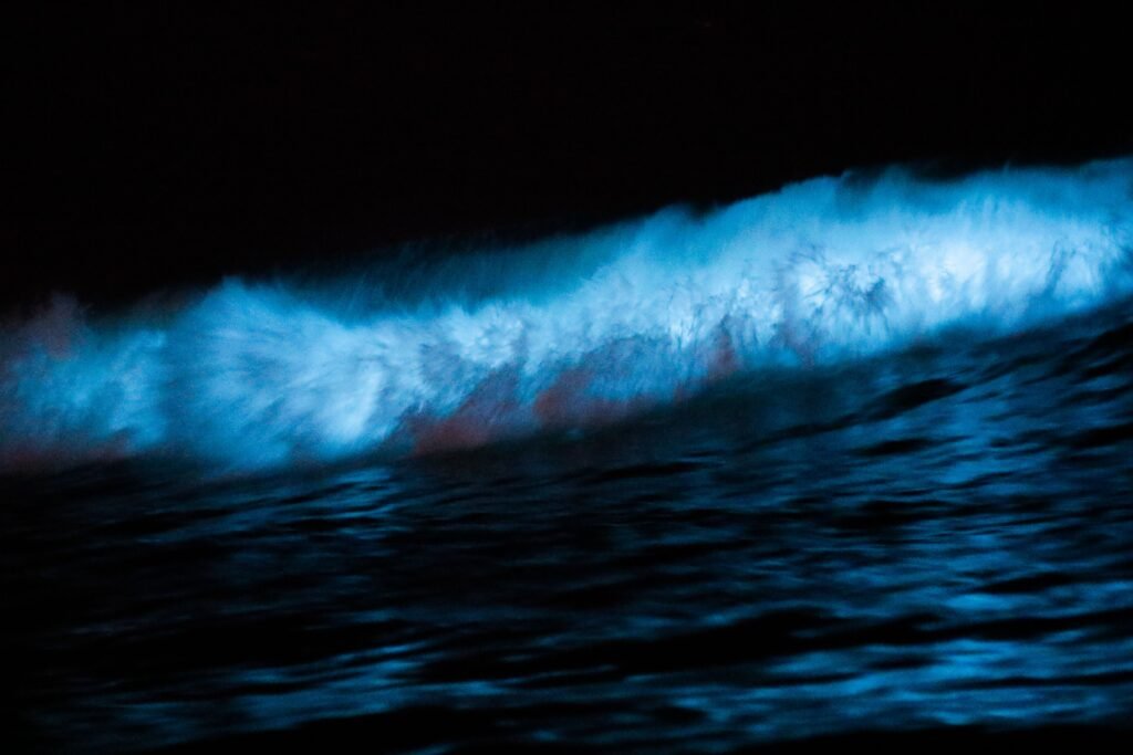 Bioluminescence in the Ocean: How and Why the Sea Glows