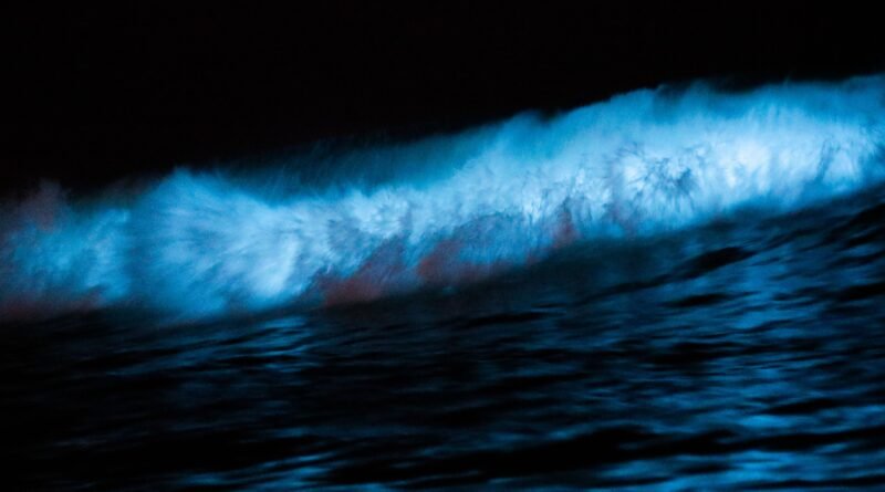 Bioluminescence in the Ocean: How and Why the Sea Glows