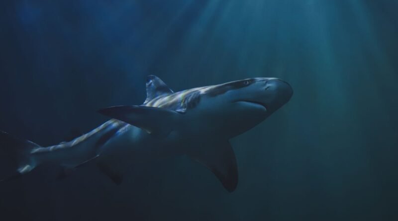 Great White Shark Facts: Size, Teeth, Diet, Lifespan Guide