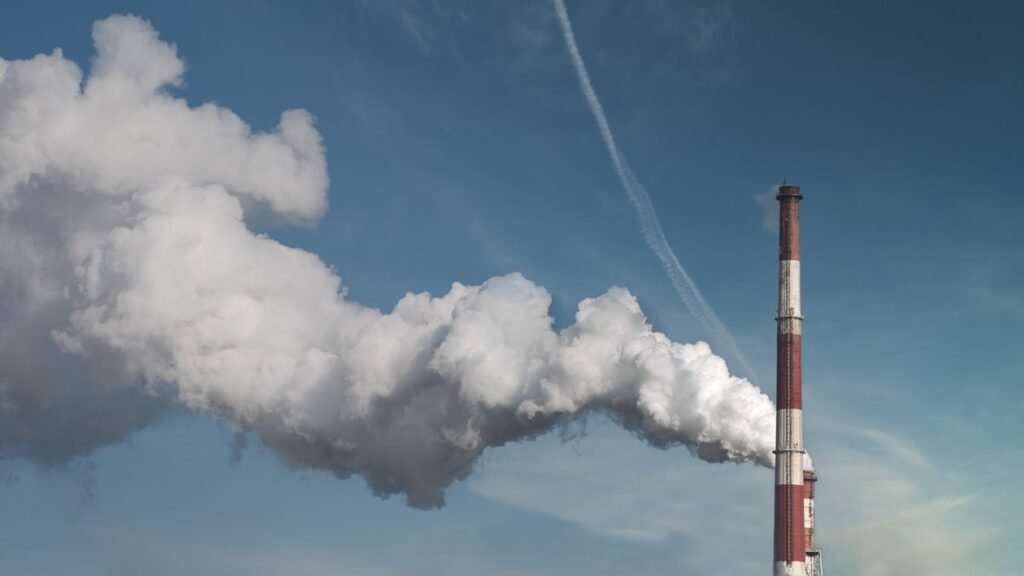 Carbon Footprint Explained: What It Is and How to Cut It