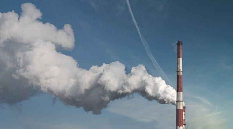 Carbon Footprint Explained: What It Is and How to Cut It