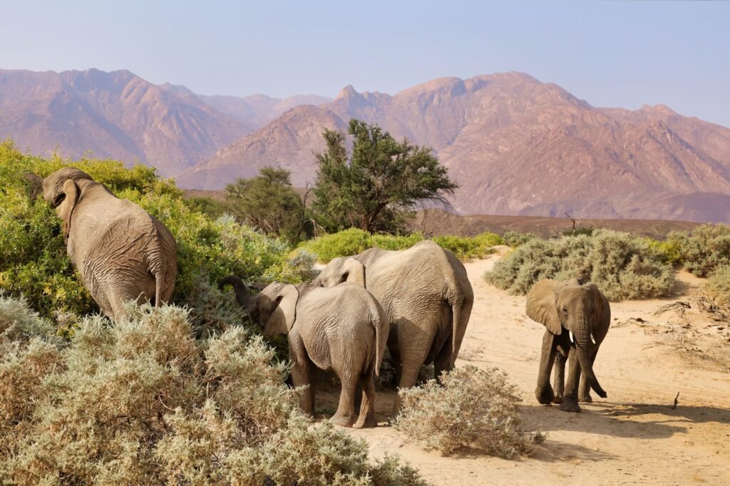 Community-Based Conservation: How Locals Save Wild Places