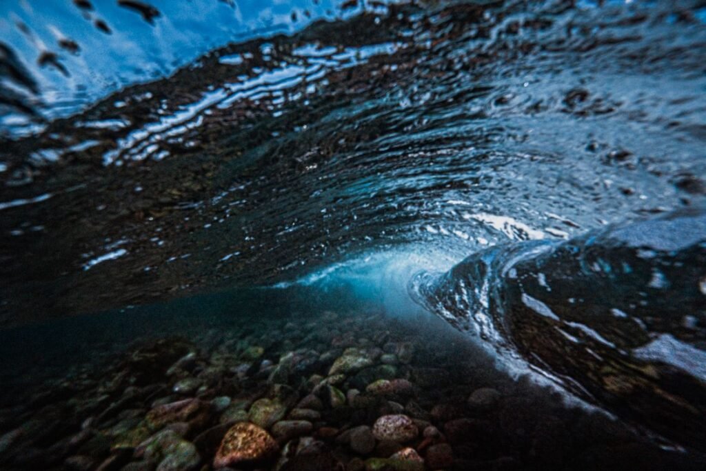 Ocean Acidification Explained: Why Our Seas Are Changing