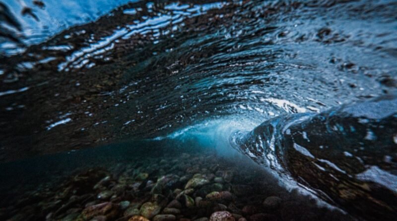 Ocean Acidification Explained: Why Our Seas Are Changing