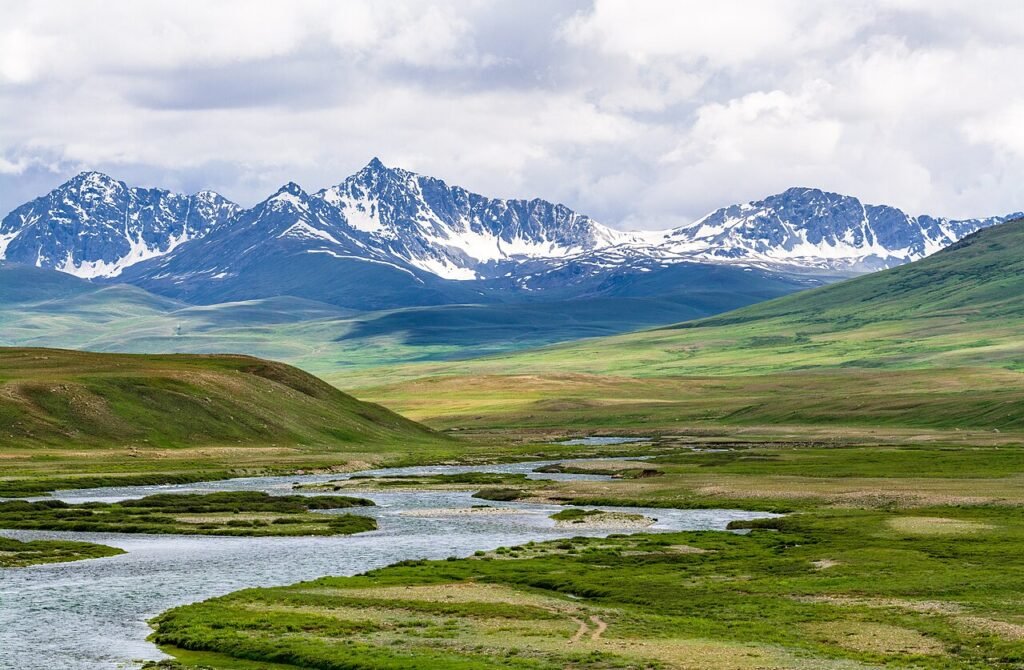 Deosai National Park: Pakistan's Land of Giants Guide